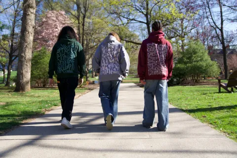 Invasive Species Hoodies (Emerald Ash Borer, Japanese Knotweed, Lantern Fly)