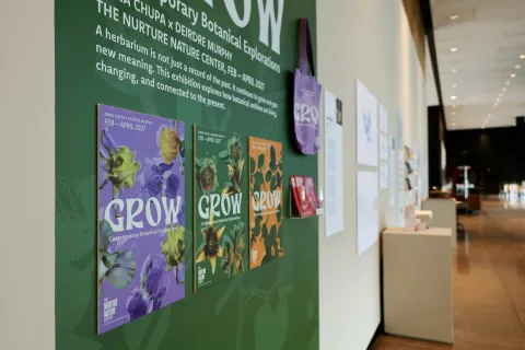 Image of gallery space showing small scale title wall wallpaper labeled Grow, a poster series, totebag, postcards in a brochure holder, and an artist statement plaque.