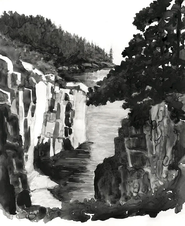 John Travers water art called Raven's Nest, Acadia